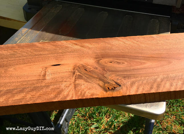 Live Edge Laptop Tray