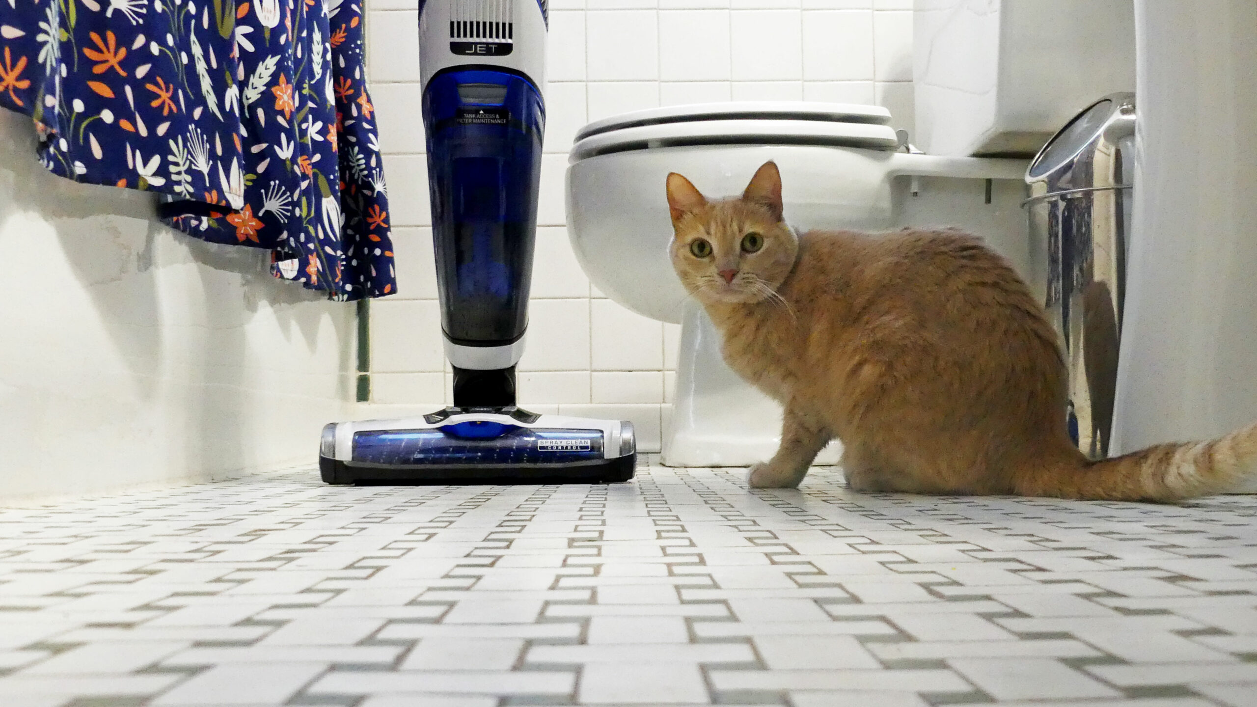 Hoover impulse 2025 pet review