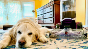 Hoover SmartWash Pet Carpet Cleaner