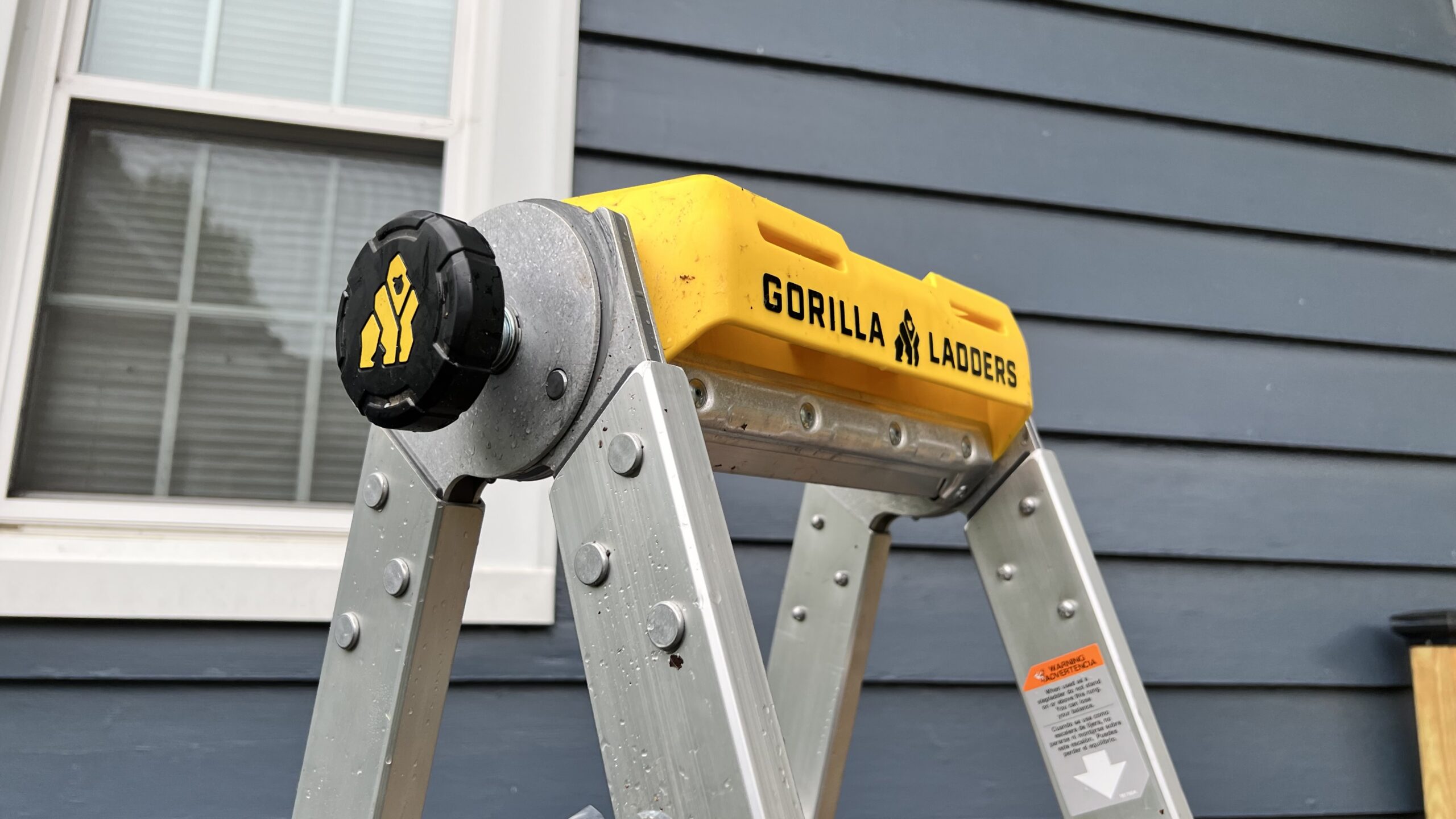 Gorilla 19 foot ladder